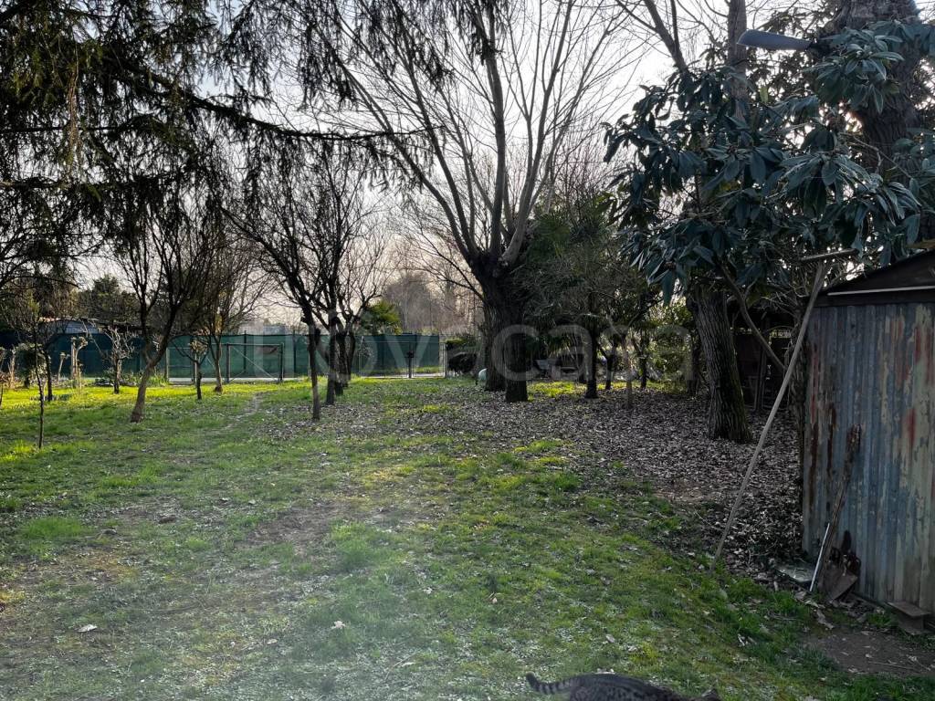 immagine annuncio 3 di 4