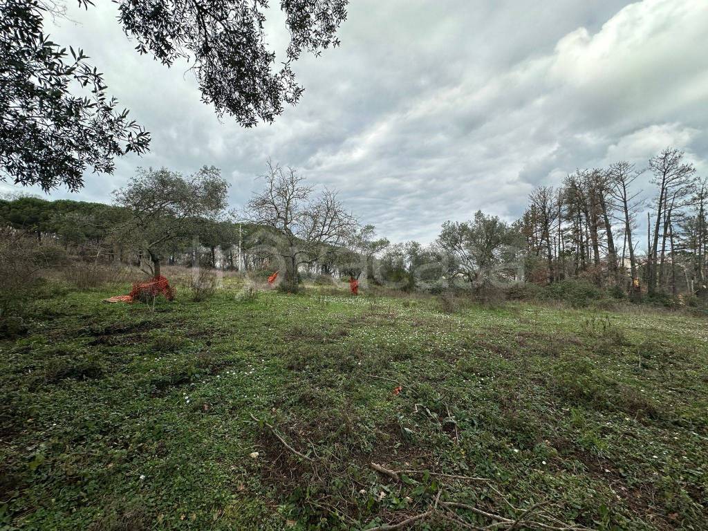 immagine annuncio 8 di 13
