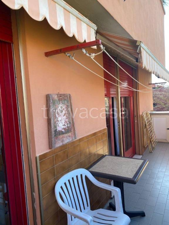 immagine annuncio 5 di 13