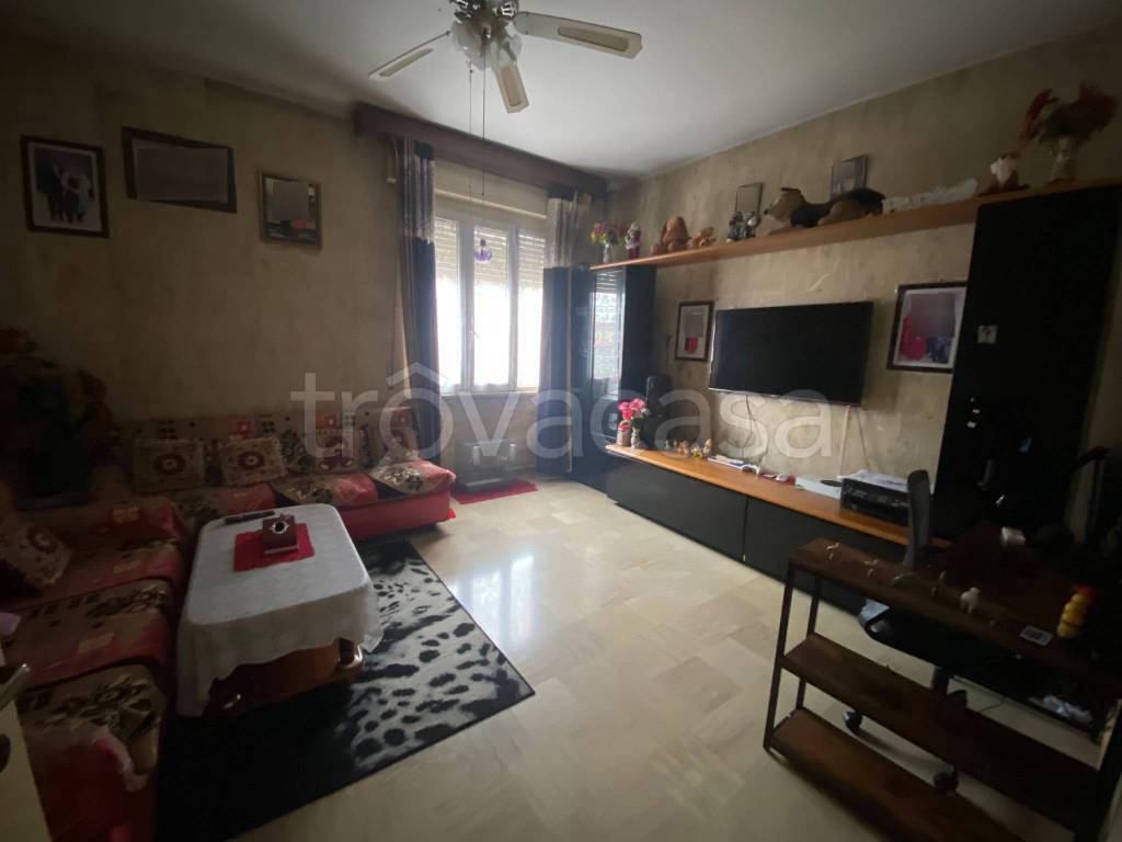 immagine annuncio 2 di 14