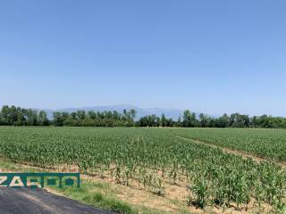 Terreno agricolo in vendita a castello di godego 