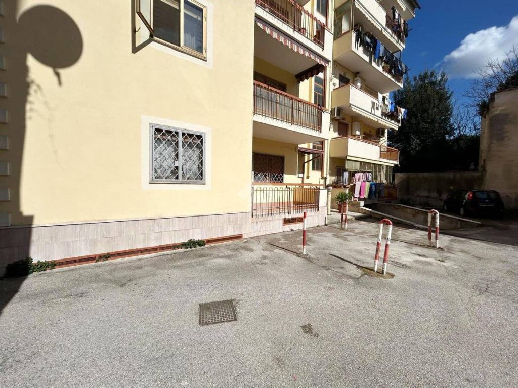 immagine annuncio 10 di 11