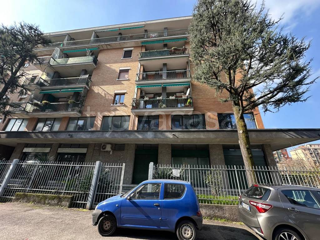 immagine annuncio 5 di 15
