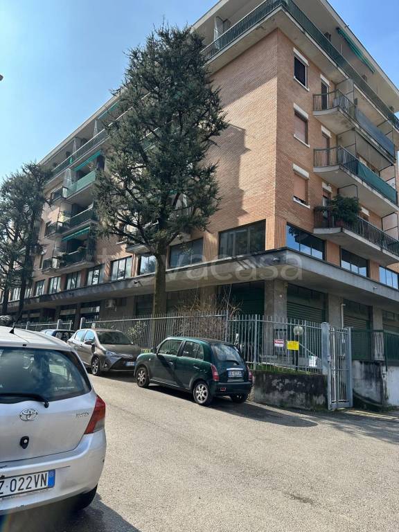 immagine annuncio 6 di 15