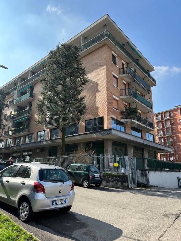 immagine annuncio 8 di 15