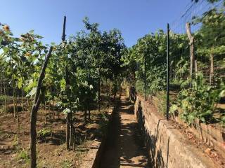 Terreno agricolo in vendita a vietri sul mare piazza punzi