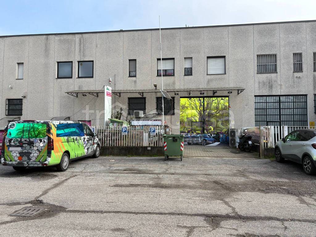 immagine annuncio 1 di 15