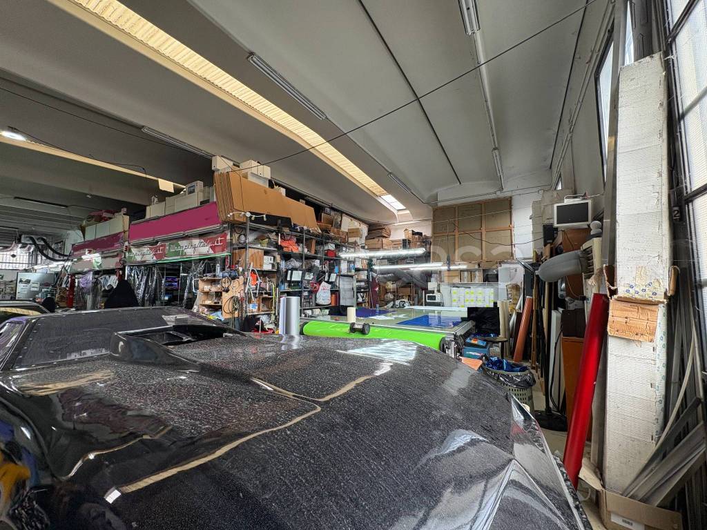 immagine annuncio 12 di 15