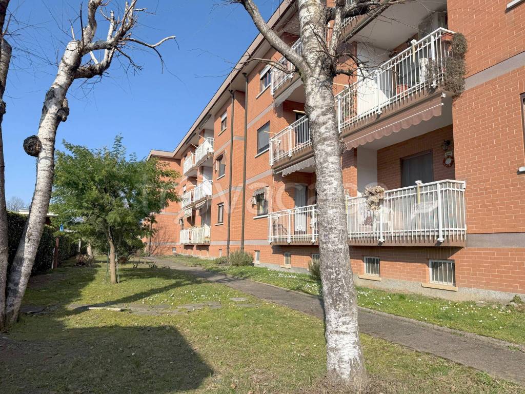 immagine annuncio 2 di 15