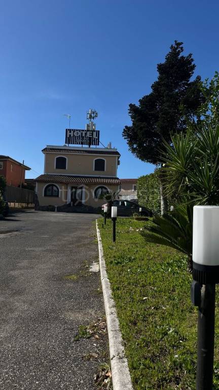 immagine annuncio 1 di 14