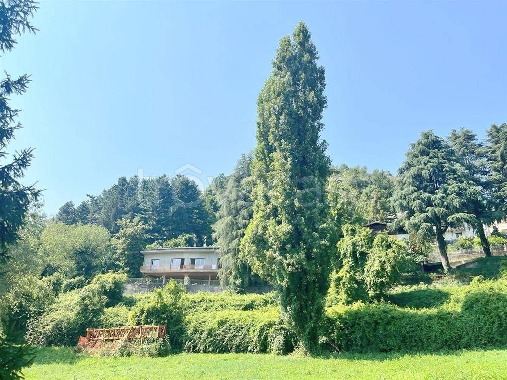 immagine annuncio 1 di 6