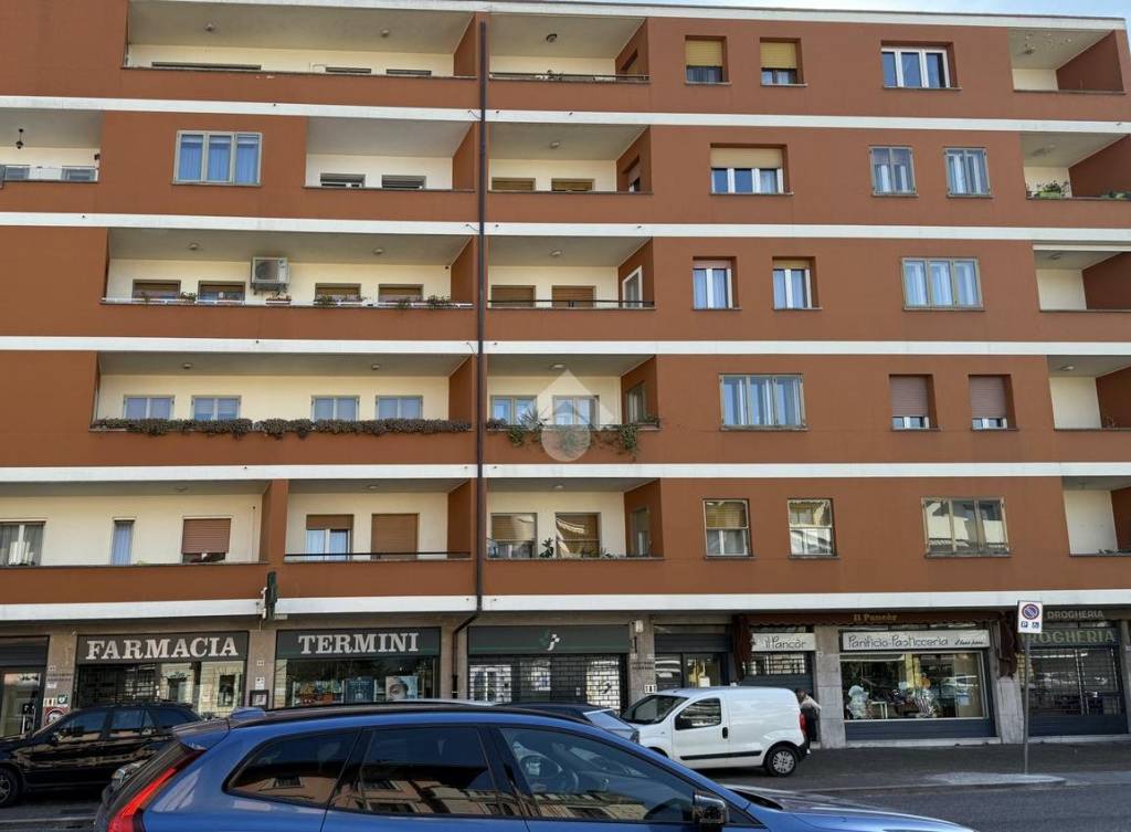 immagine annuncio 13 di 14