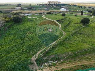 Terreno agricolo in vendita a lentini via ventimiglia