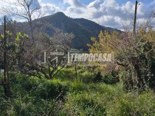 Terreno agricolo in vendita a messina strada statale 113 dir 14/piano rocc