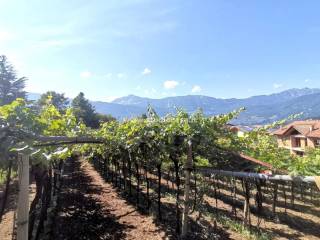 Terreno residenziale in vendita a rovereto 