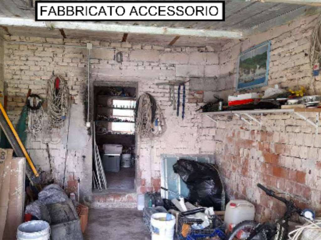 immagine annuncio 10 di 14
