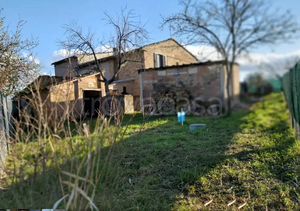 immagine annuncio 2 di 6