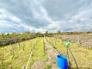 Terreno agricolo in vendita a belpasso via conca due, 33