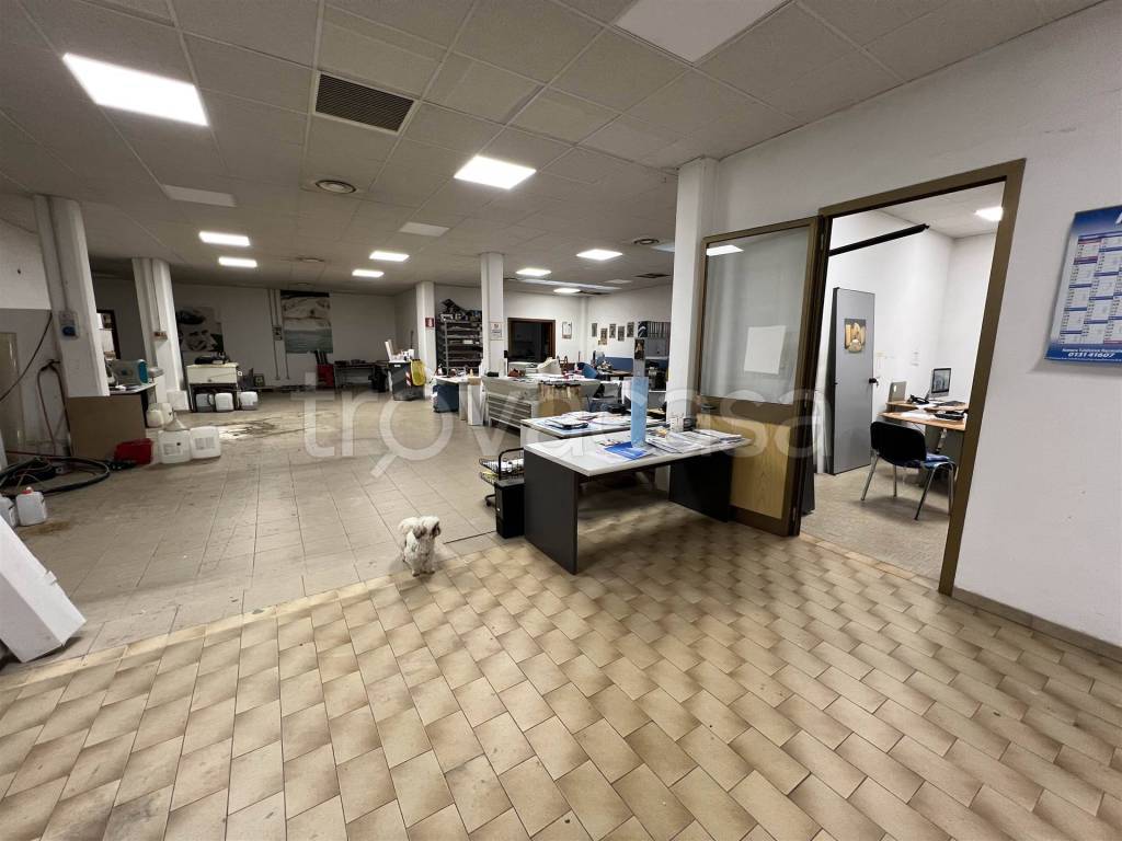 immagine annuncio 3 di 8