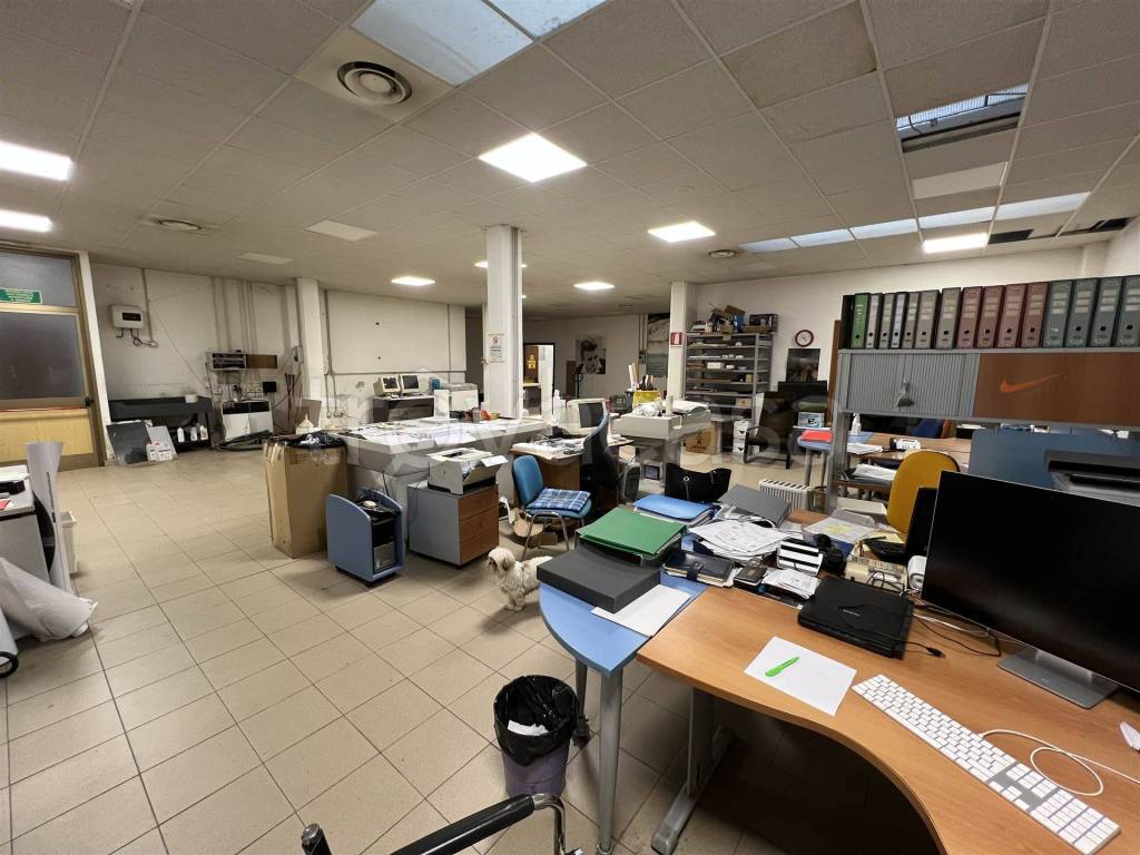 immagine annuncio 7 di 8