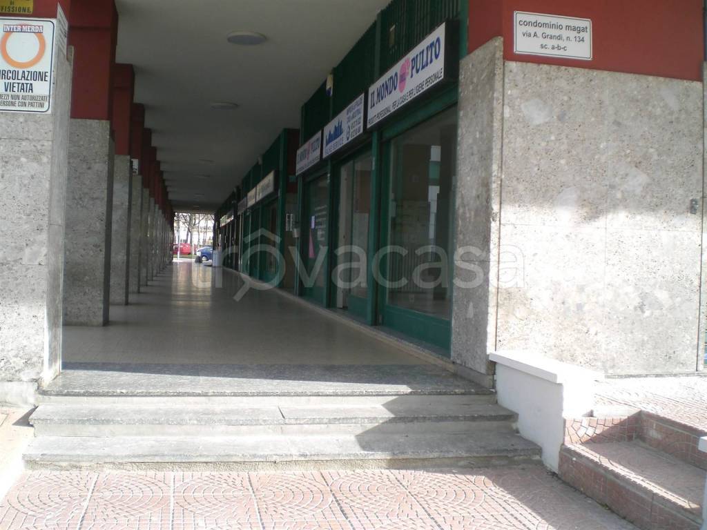 immagine annuncio 7 di 15
