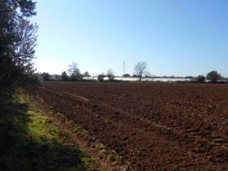 Terreno agricolo all'asta a latina sp50