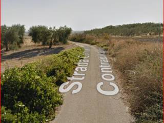 Terreno agricolo all'asta a faeto sp125