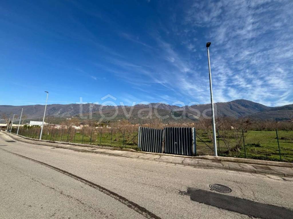 immagine annuncio 1 di 14