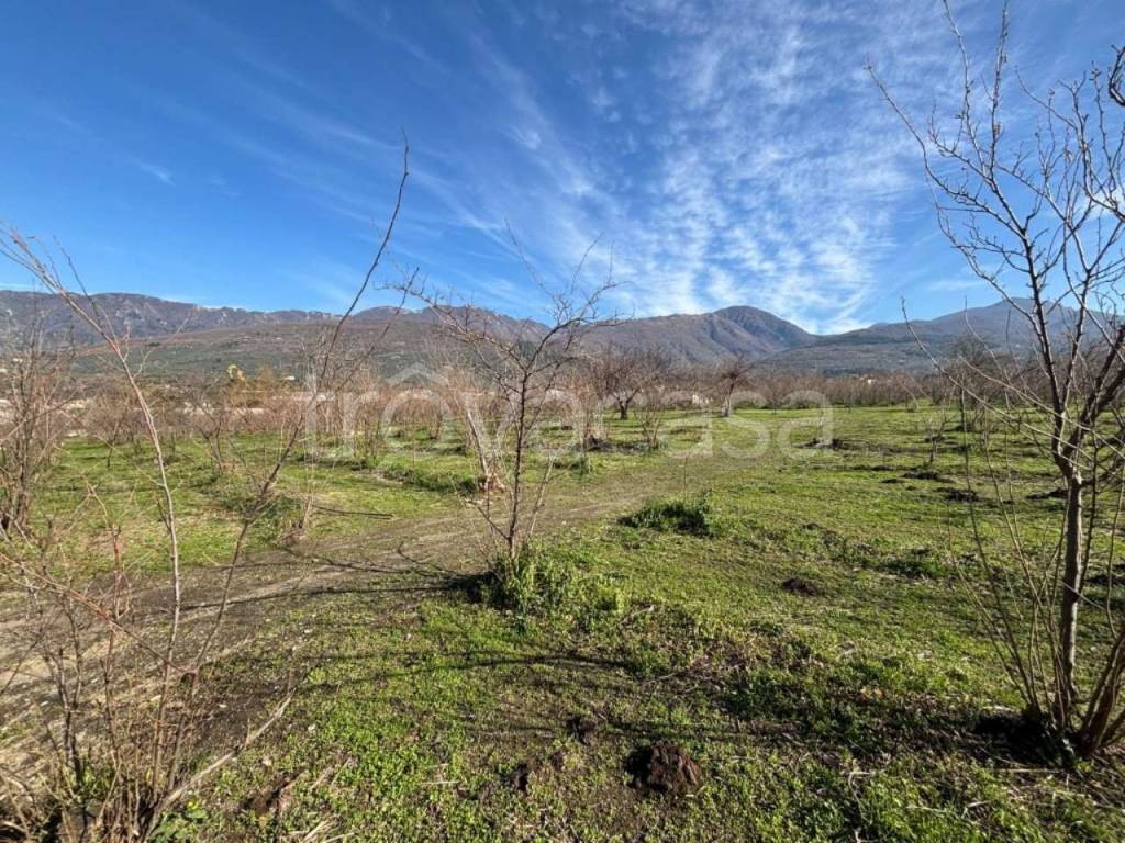 immagine annuncio 8 di 14