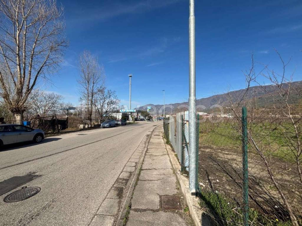 immagine annuncio 9 di 14