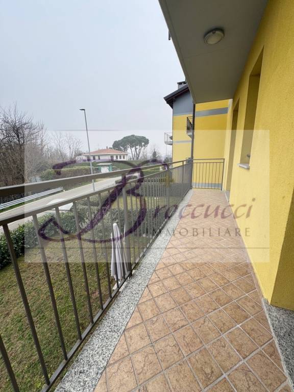 immagine annuncio 9 di 13