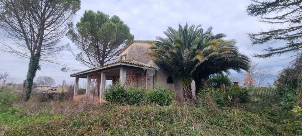 immagine annuncio 1 di 8