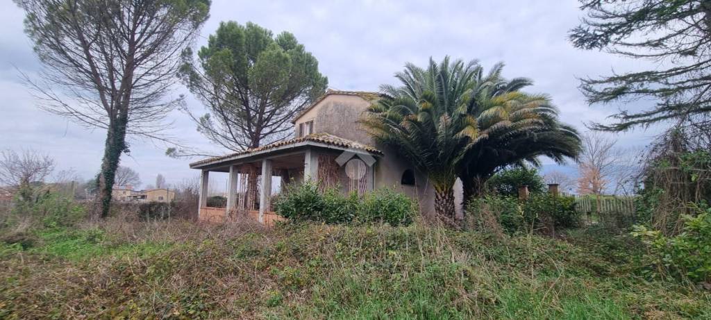 immagine annuncio 6 di 8