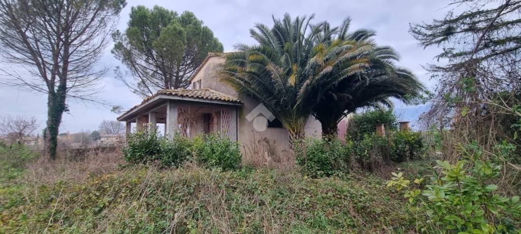 immagine annuncio 7 di 8