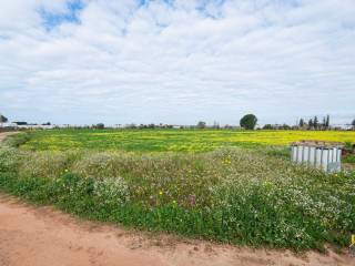 Terreno agricolo in vendita a vittoria strada comunale, 30