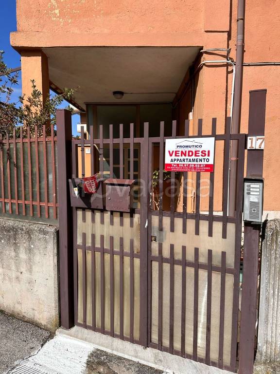 immagine annuncio 3 di 15