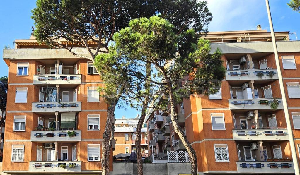 immagine annuncio 8 di 9