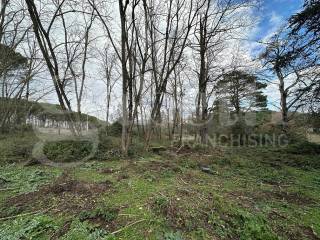 Terreno agricolo in vendita a canale monterano via prati lunghi, 00