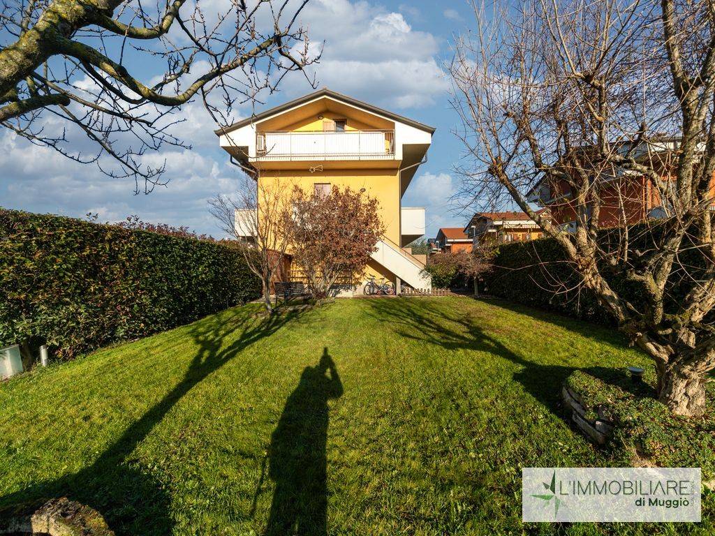 immagine annuncio 4 di 15