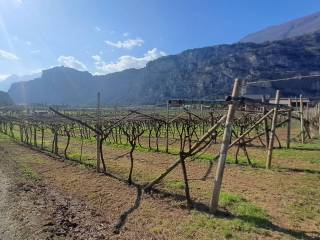 Terreno agricolo in vendita ad arco località maso giare