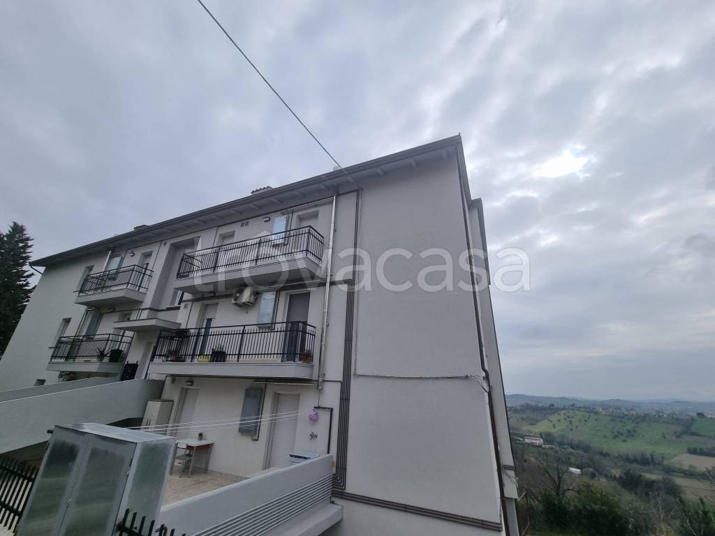 immagine annuncio 3 di 14