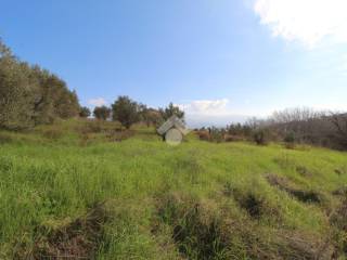 Terreno residenziale in vendita a montalto uffugo via delle rose, 38