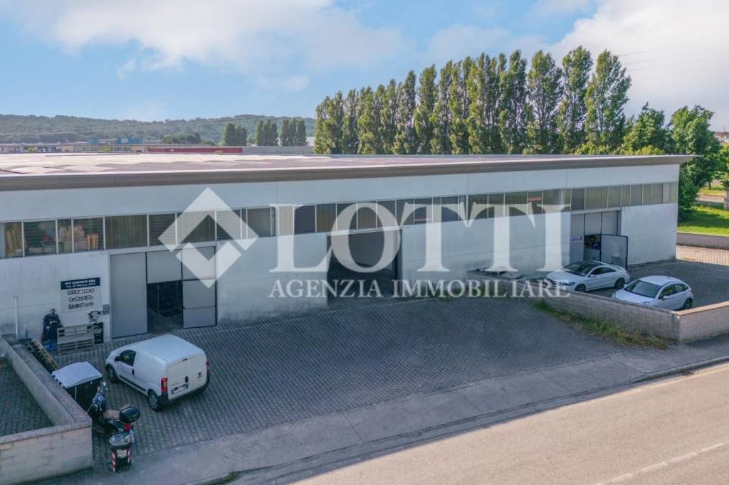 immagine annuncio 11 di 12