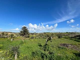 Terreno agricolo in vendita a pachino contrada granelli