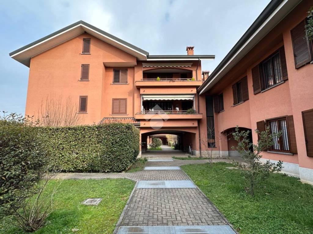 immagine annuncio 12 di 14