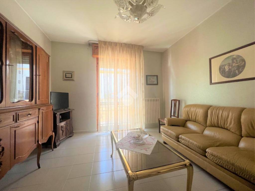 immagine annuncio 5 di 14