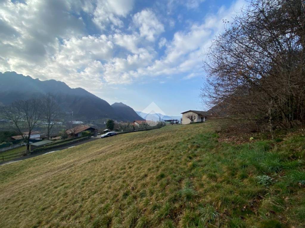 immagine annuncio 4 di 8