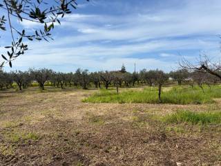 Terreno agricolo in vendita a pontecagnano faiano via ferdinando magellano