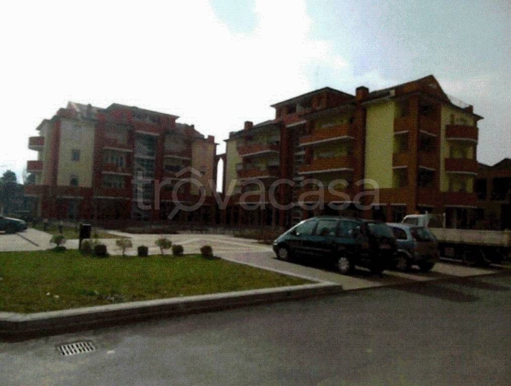 immagine annuncio 11 di 13