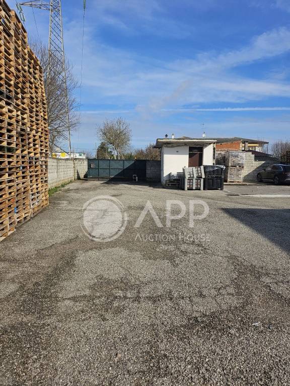 immagine annuncio 5 di 15